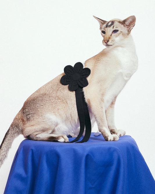 Flower Pin | Black